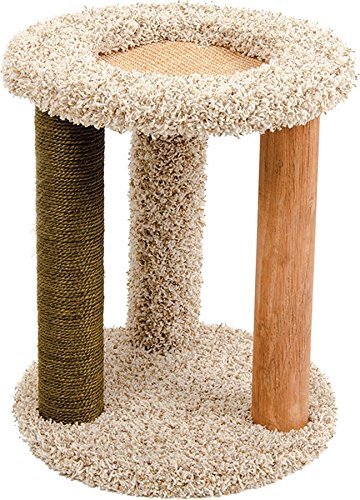 KITTY CARPET PLAYGROUND LOUNGE