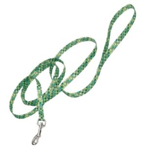 5/8" ATTIRE LEASH 6FT