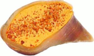 CHEESE/BACON FILLED HOOF