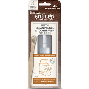 ENTICERS DOG TOOTHPASTE/BRUSH SM