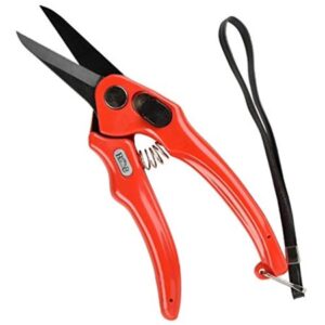 SUPERSHARP FOOTROT SHEARS