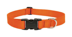 1" BLAZE ORANGE 16-28 ADJ COLLAR