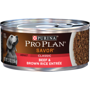 PRO PLAN ADULT BF/RC 13OZ