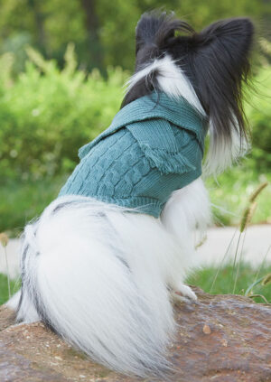 SCARF SWEATER SAGE XS 48