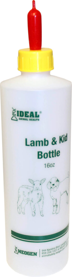 LAMB BOTTLE W/ NIPPLE 16OZ