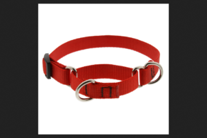 3/4in Red 14-20 Martingale