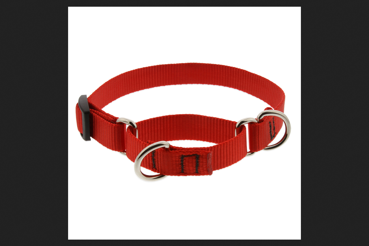 3/4in Red 14-20 Martingale