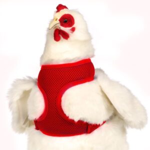 CHICKEN HARNESS SM RED
