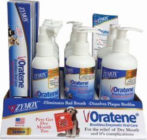 SQUIRREL BUSTER SUET FEEDER