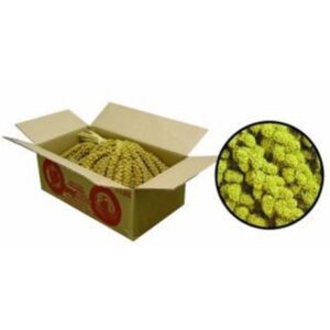 MILLET SPRAY 5LB