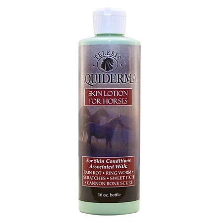 EQUIDERMA SKIN LOTION 16OZ