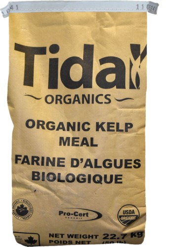 NCO KELP MEAL THORVIN 50 ORGANIC