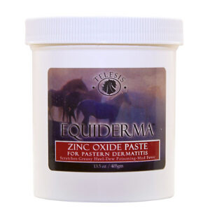 EQUIDERMA ZINC PASTE 16OZ