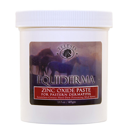 EQUIDERMA ZINC PASTE 16OZ