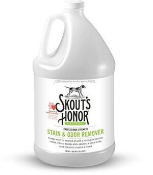 SKOUT RMVR STAIN ODOR 1GAL