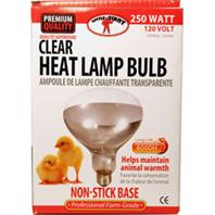 HEAT LAMP BULB CLEAR 250 WT