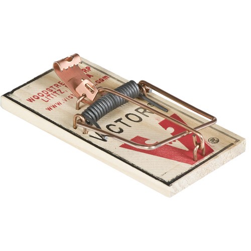 VICTOR MOUSE TRAP 4PK