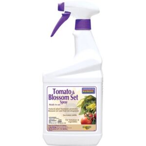 TOMATO BLOSSOM SET QT RTU