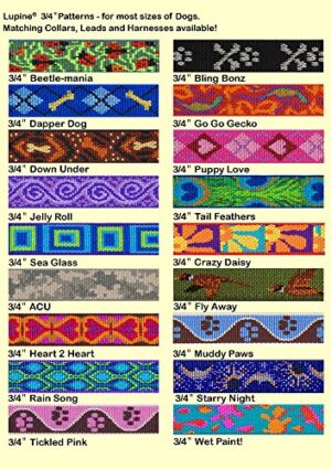 COLLAR 10-14(M)CRAZY DAISY