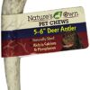 ANTLER DEER 5-6IN REG - Image 3