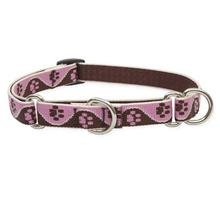 10-14 COMBO DAPPER D DOG