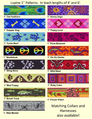 1in Dapper Dog 4ft Leash