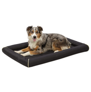 QUIET TIME MAXX BED BLACK 42X29