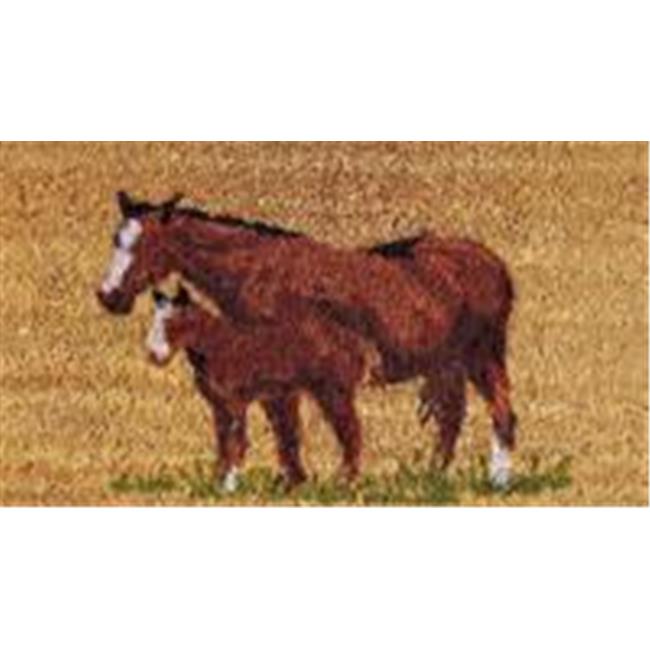 WELCOME MAT MARE/FOAL