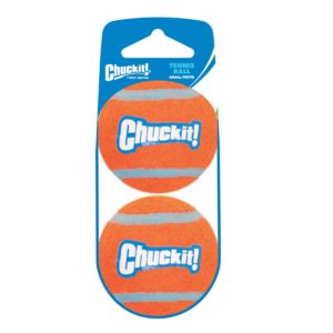 CHUCK IT MINI BALLS 2 PK