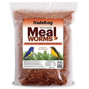 TRADEKING DRIED MEALWORMS 1#