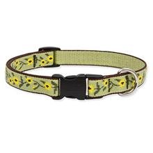 3/4" PUPPY LOVE 15-25 ADJ COLLAR