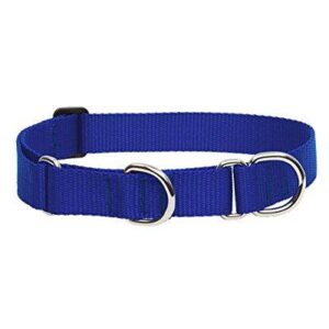 1in Blue 15-22 Martingale