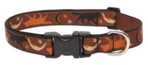 1" DOG COLLAR 16-28" SHADOW