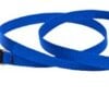 1/2in Blue 6ft Leash
