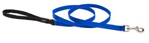 1/2in Blue 6ft Leash