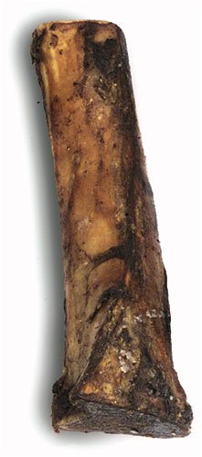 CADET NAT SHIN BONE 6"-7"