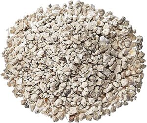 BS SENTINEL LIFETIME LT 50LB