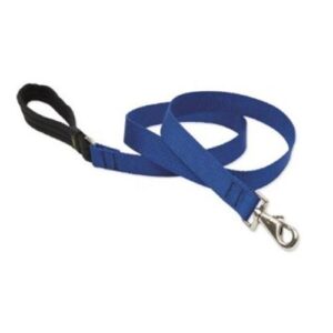 1in Blue 4ft Leash