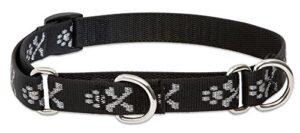 3/4" BLING BONZ 14-20 MARTINGALE