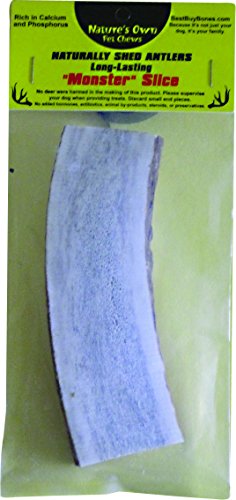 ELK ANTLER SLICE MONSTER 6IN