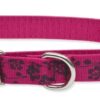 MARTINGALE 1" PLUM BLS 15-22 - Image 2