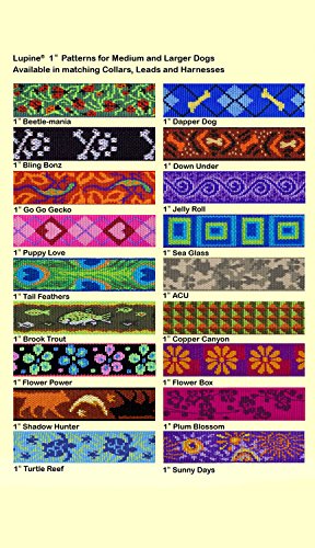 1in Bling Bonz 19-27 Martingale - Image 2