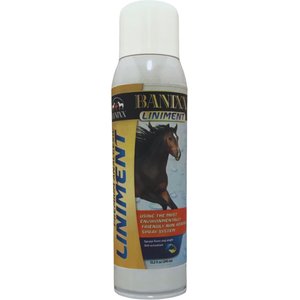 BANIXX PREM LINIMENT 13.2OZ