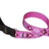 3/4in Puppy Love 2ft Leash - Image 2