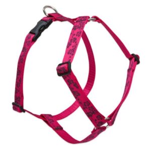 1" PLUM BLOSSOM 20-32 ROMAN HRNS