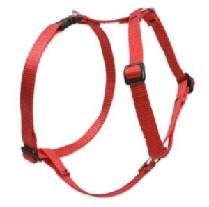 3/4in Red 12-20 Roman Hrns