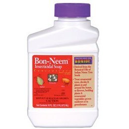 CPT JACK NEEM MAX CONC 1PT