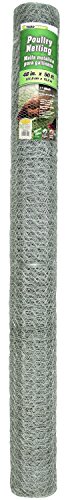 HEX NET 48INX50FT 1IN GALV