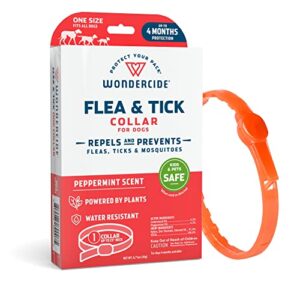 WC DOG F/T COLLAR PEPPERMINT
