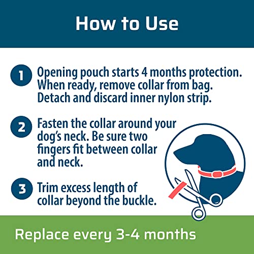 WC DOG F/T COLLAR PEPPERMINT - Image 5